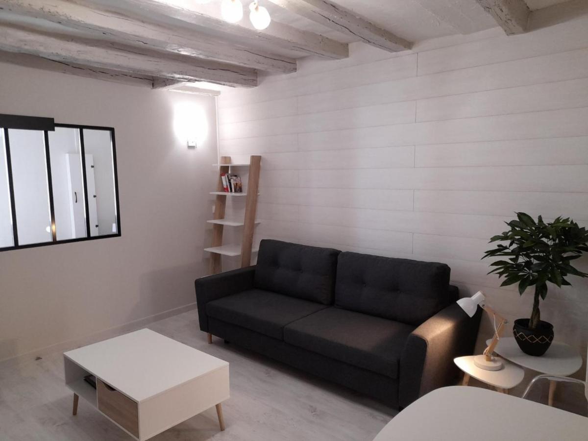 Le Cosy D'Amboise Apartment Ngoại thất bức ảnh