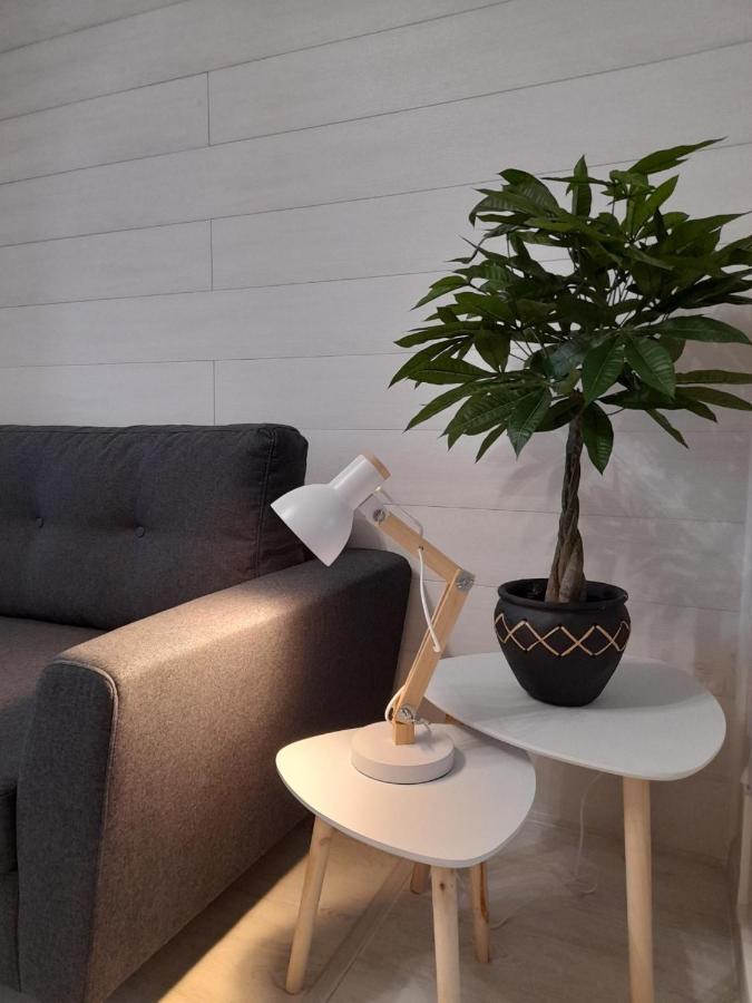 Le Cosy D'Amboise Apartment Ngoại thất bức ảnh